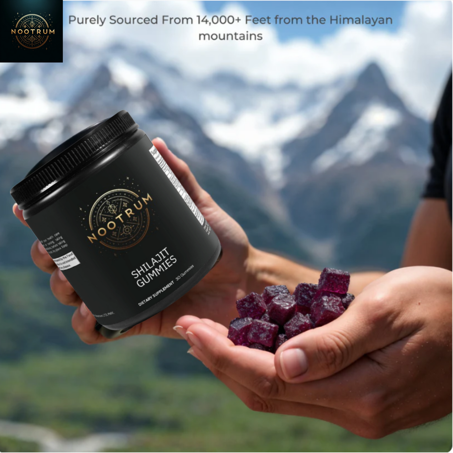 Nootrum Premium Shilajit Gummies